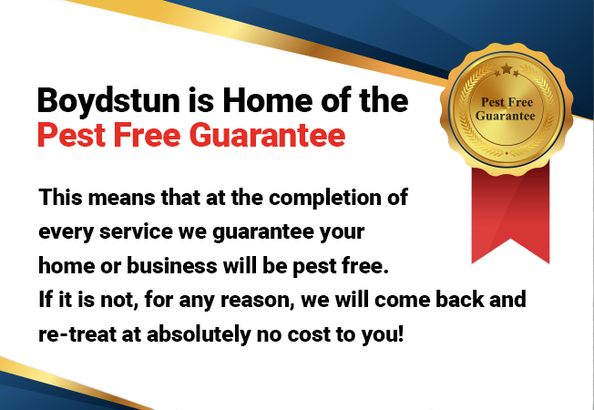 Boydstub is the home of the Pest Free Guarantee - This means that at the completion of every service we guarantee your home or business will be pest free - if it is not for any reason we will come back and re-treat at absolutely no cost to you!