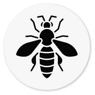 Bees Wasps Hornets Icon