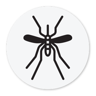 Mosquito Icon