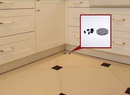 Mice droppings shown at scale in kitchen