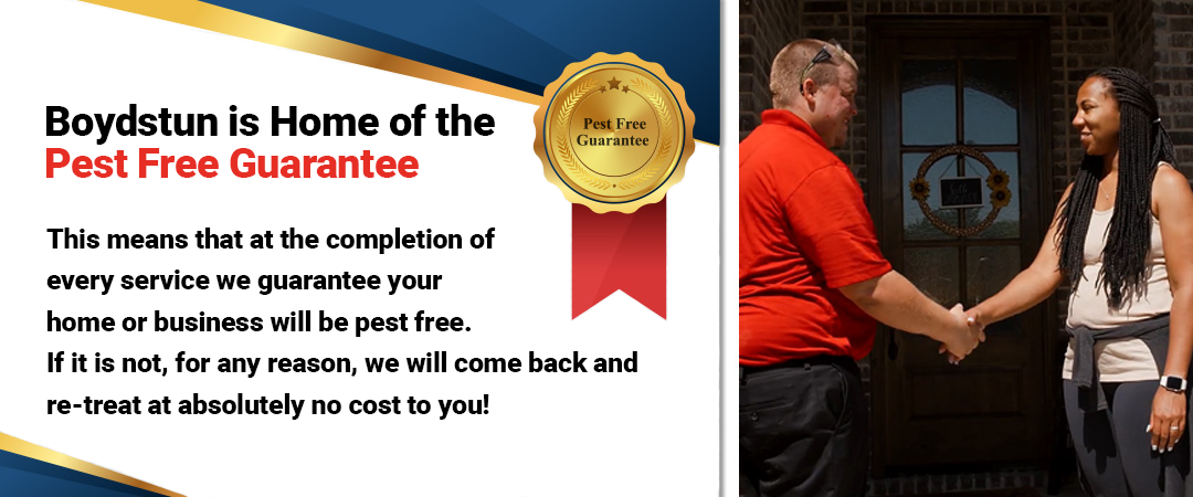 Boydstun Pest is the home of the Pest Free Guarantee - This means that at the completion of every service we guarantee your home or business will be pest free - if it is not for any reason we will come back and re-treat at absolutely no cost to you!