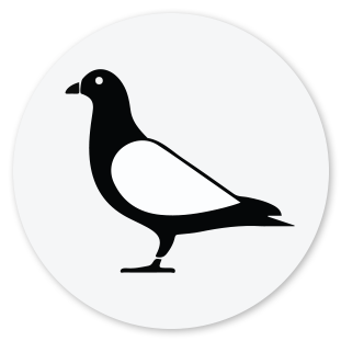 Pigeon Icon