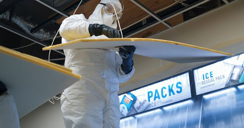 Pest control treatment above ceiling panels