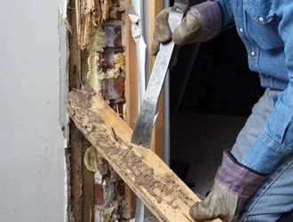 Removal of termite-damaged wood from wall
